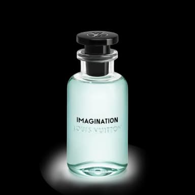 Louis Vuitton Imagination