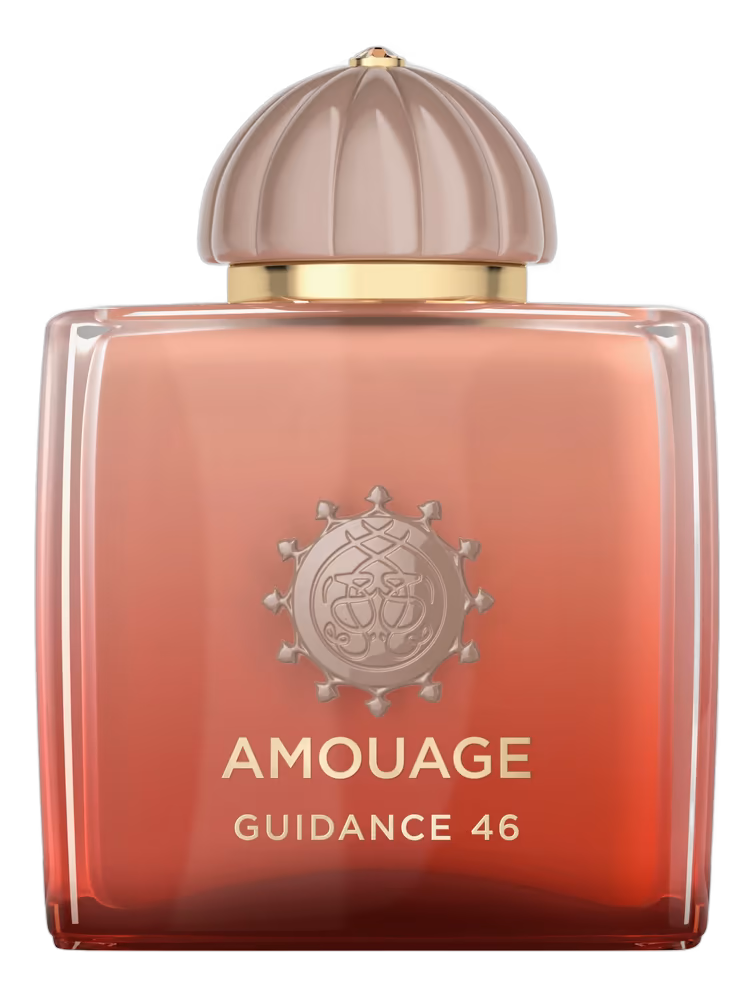 Guidance 46