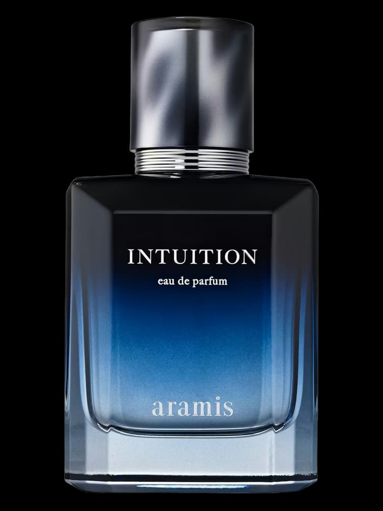 Intuition
