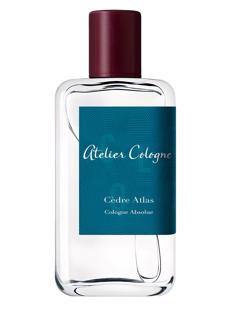 Cedre Atlas