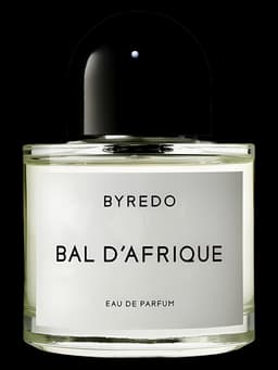 Bal d'Afrique
