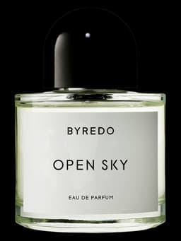 Open Sky