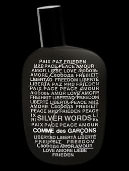 Comme des Garcons 2 Silver Words