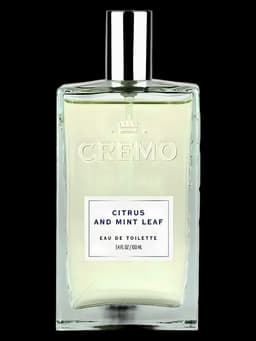 Citrus and Mint Leaf