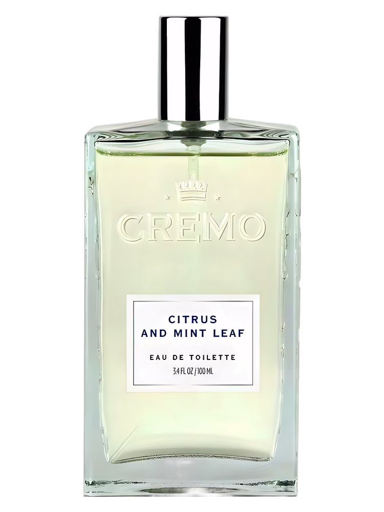 Citrus and Mint Leaf