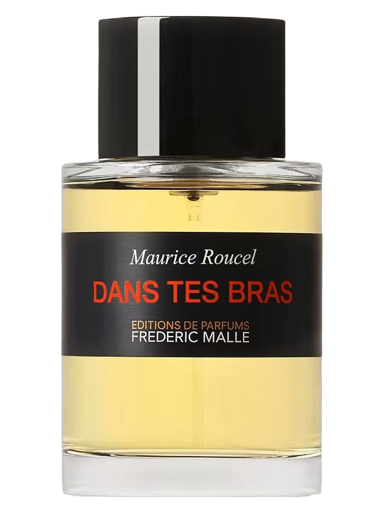 Dans Tes Bras