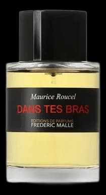 Dans Tes Bras