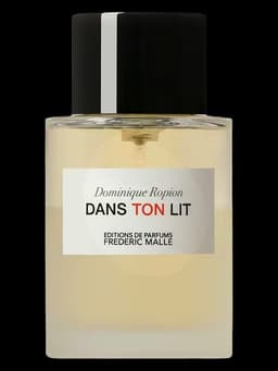 Dans Ton Lit