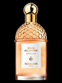 Aqua Allegoria Pamplelune
