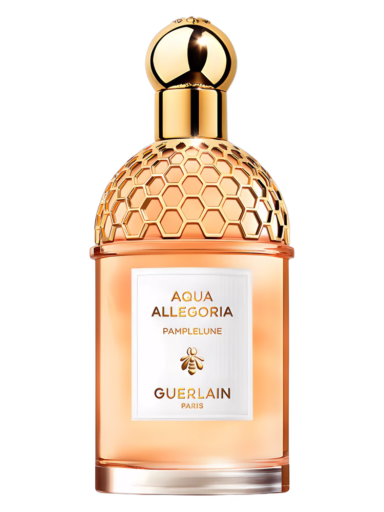 Aqua Allegoria Pamplelune