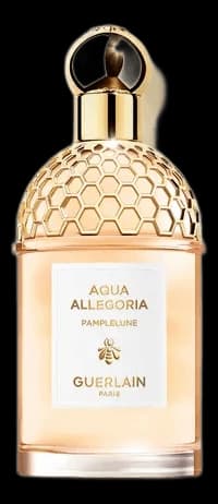 Aqua Allegoria Pamplelune