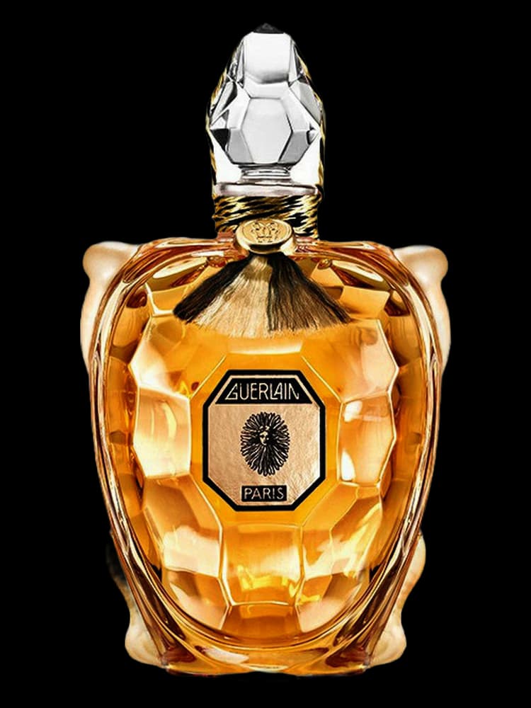 Flacon Tortue