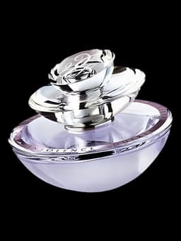 Insolence Eau Glacée