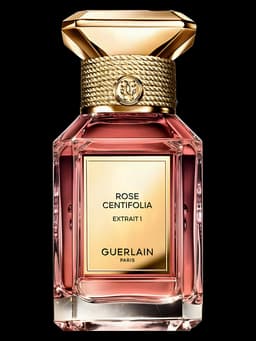 Rose Centifolia Extrait 1