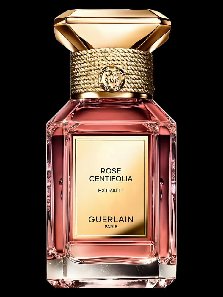 Rose Centifolia Extrait 1