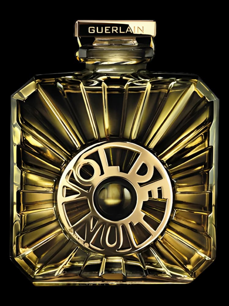 Vol de Nuit 80 Anniversaire