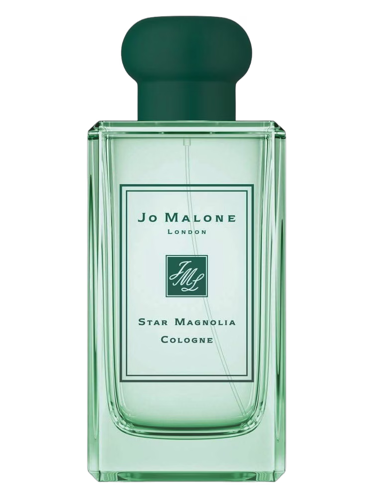 Star Magnolia Cologne (2019)