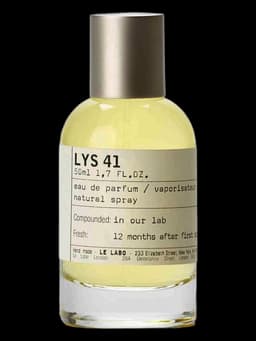 Lys 41