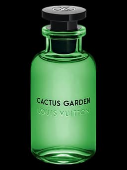 Cactus Garden