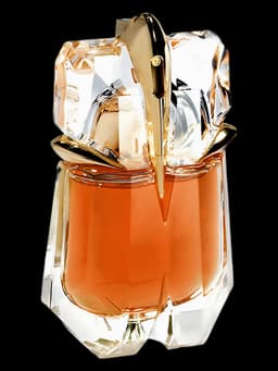 The Taste of Fragrance Alien