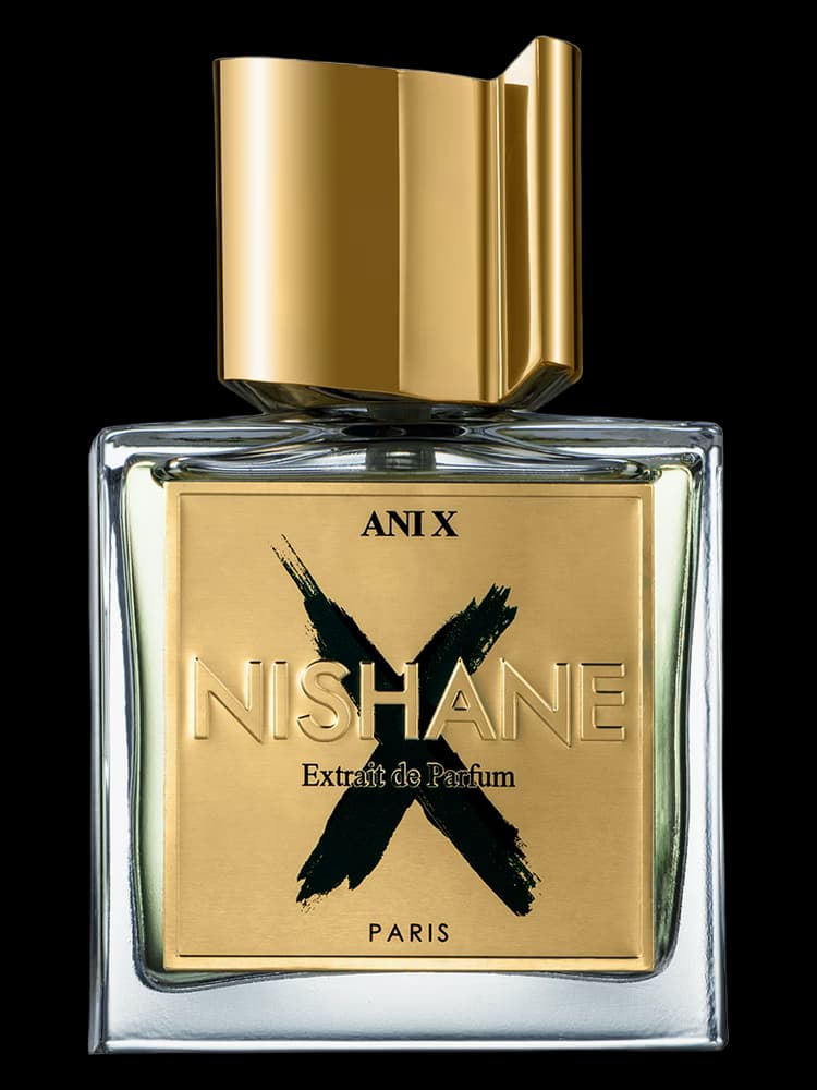 Ani X