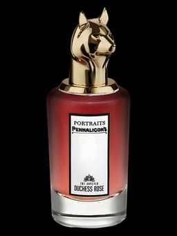 The Coveted Duchess Rose