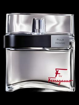 F by Ferragamo Pour Homme