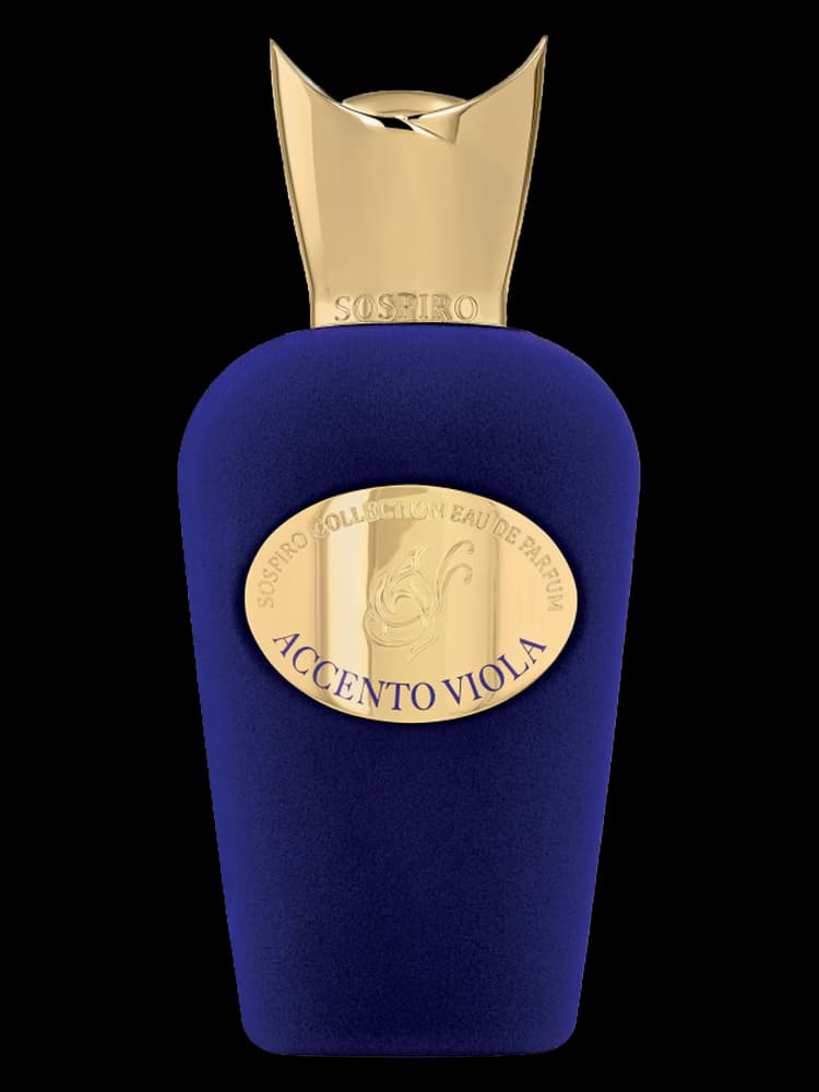 Accento Viola
