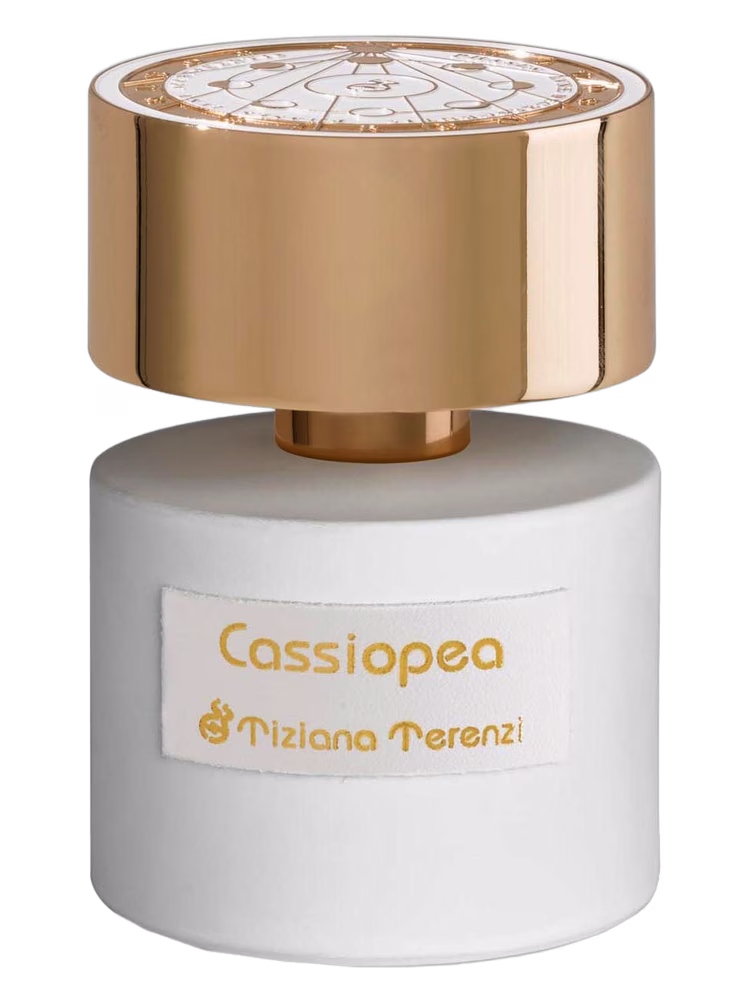Cassiopea