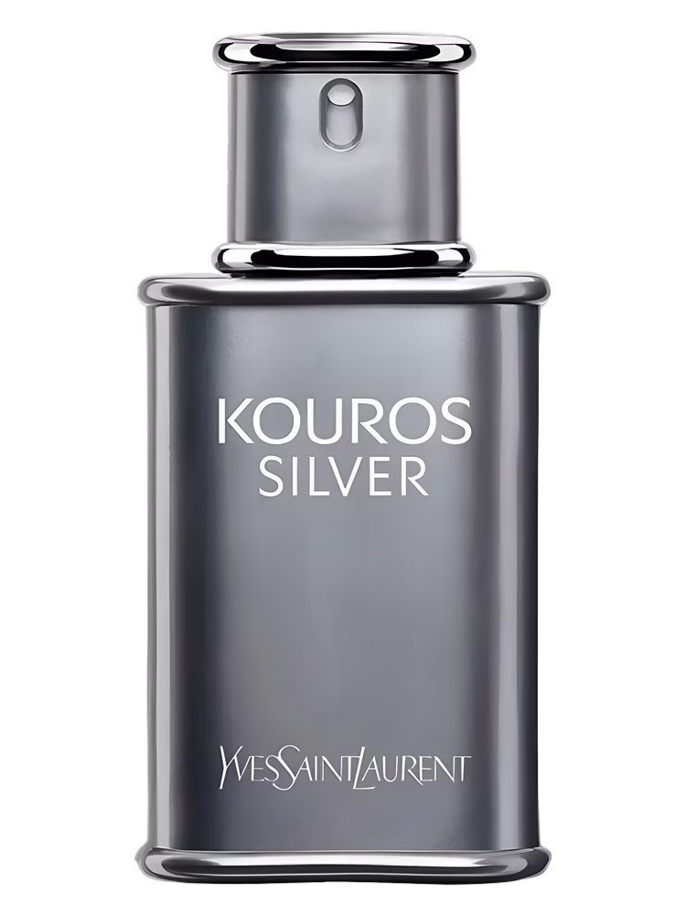 Yves Saint Laurent Kouros Silver
