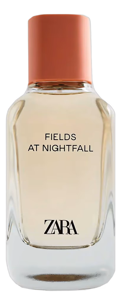 Fields at Nightfall 2020