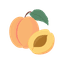 Apricot