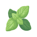 Basil