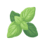 Basil