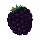 Blackberry
