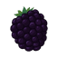 Blackberry