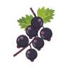 Cassis