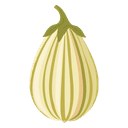 Cardamom