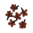 Cloves