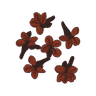 Cloves