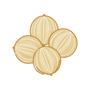 Coriander