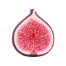 Fig