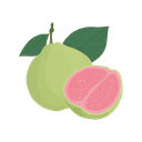 Guava