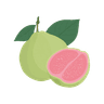 Guava