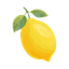 Amalfi Lemon
