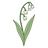 Lily-of-the-Valley