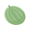 Melon