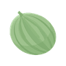 Melon