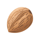 Nutmeg