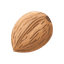 Nutmeg